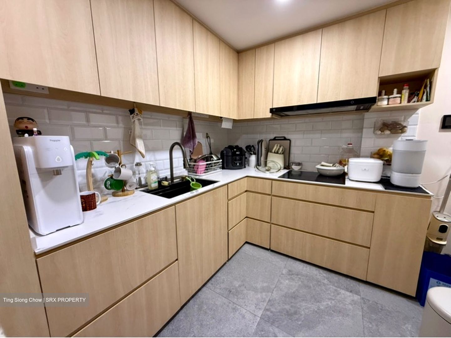 Ecopolitan (D19), Condominium #623204391